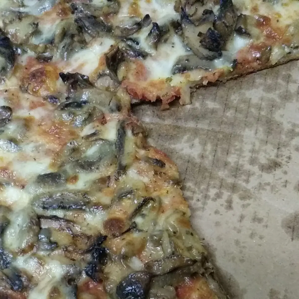 Mushroom Pizza