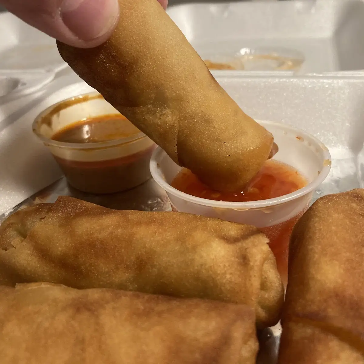 Crispy Veggie Spring Rolls