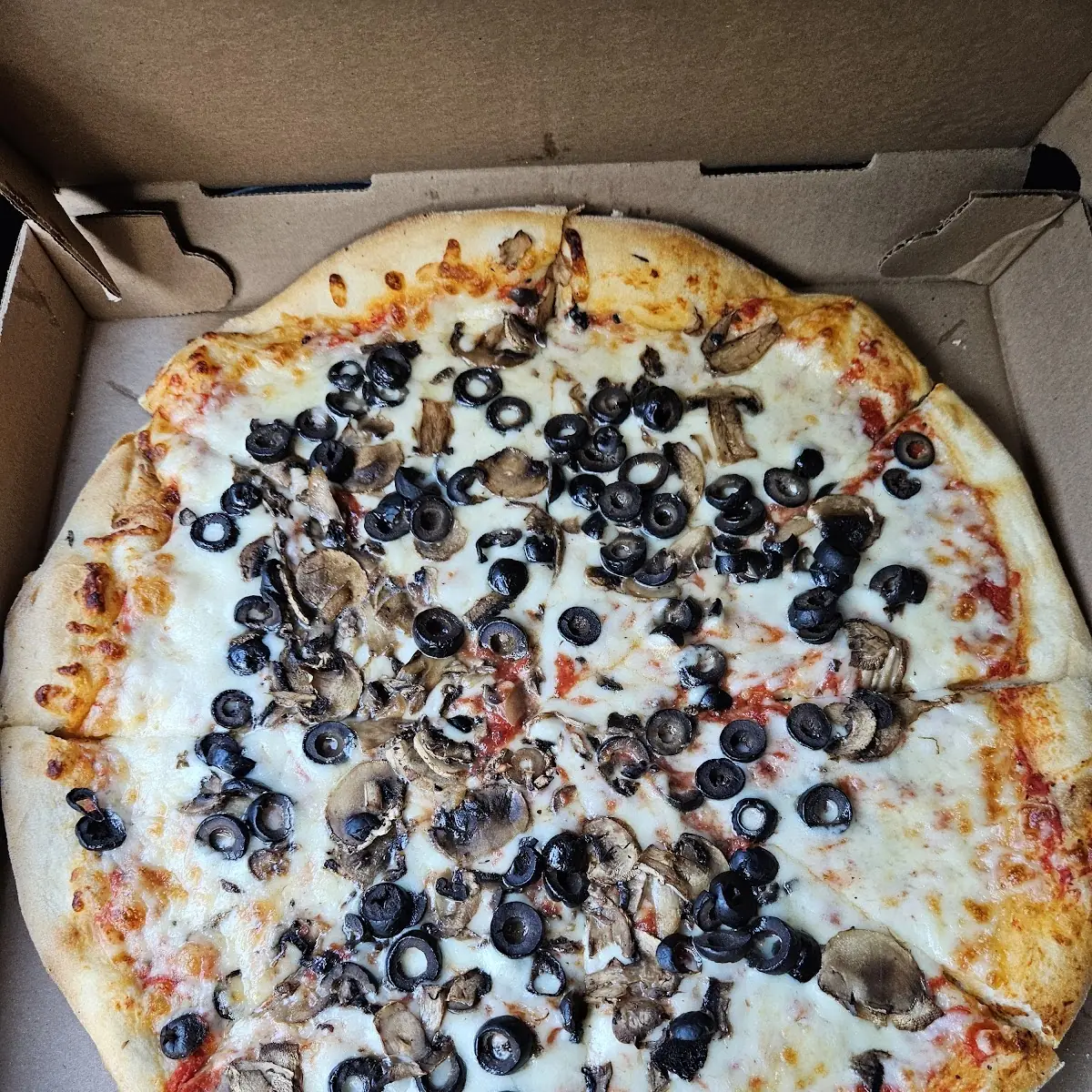 Black Olive Mushroom Pizza