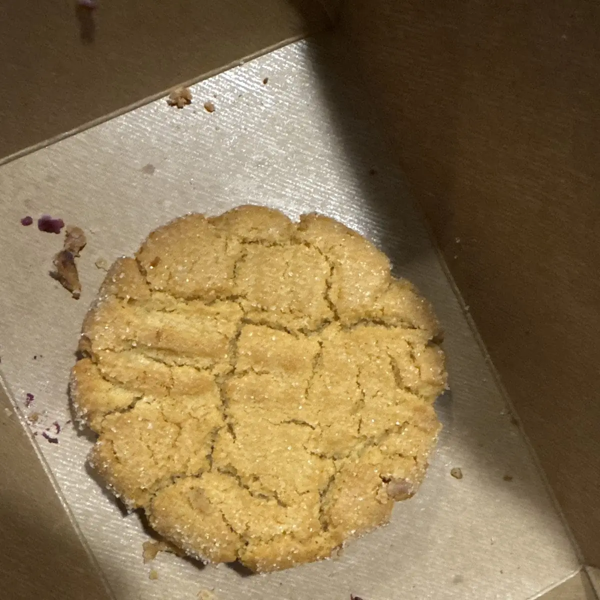 Peanut Butter Cookie
