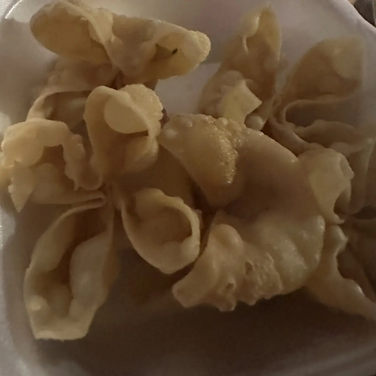 Crab Wonton