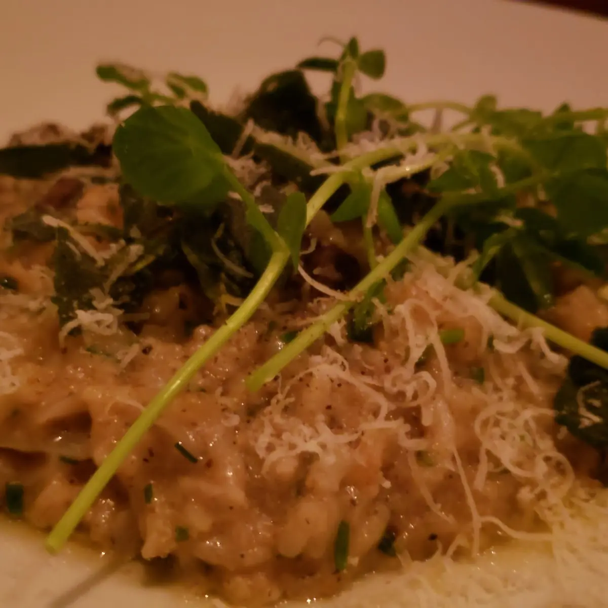 Truffled Wild Mushroom Risotto