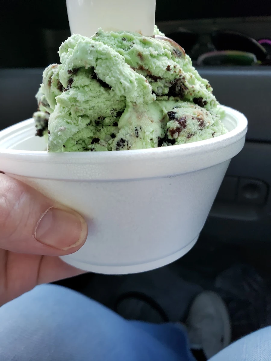 Mint Chocolate Chip Cake Batter