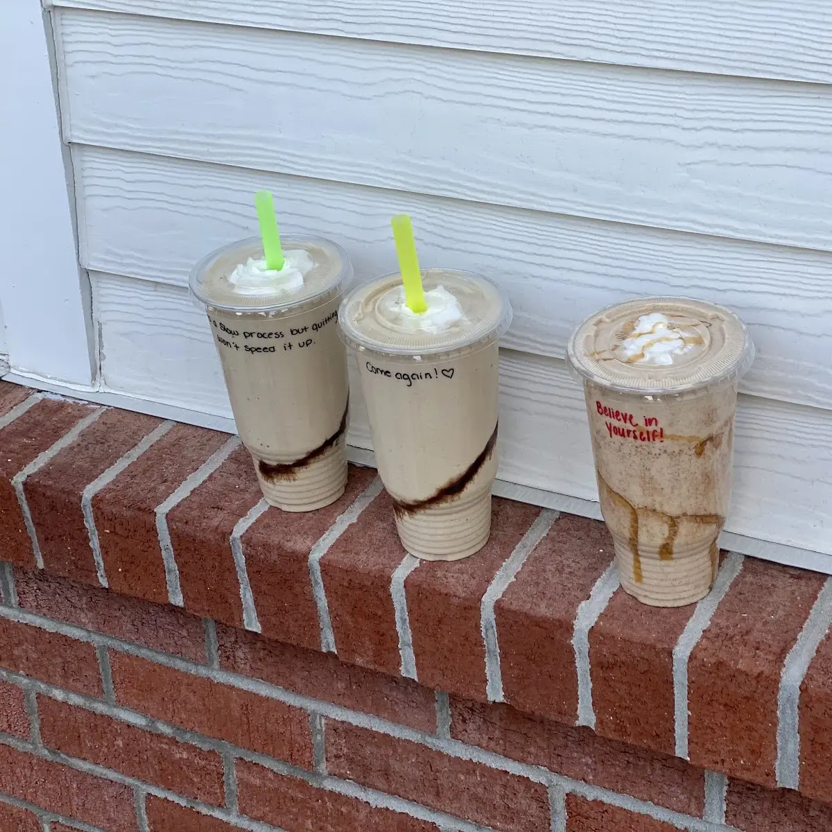 Thin Mint Shake