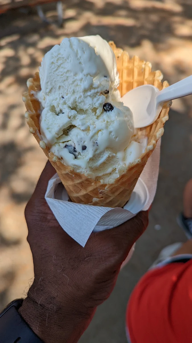 Kidz Size Chocolate Chip Waffle Cone