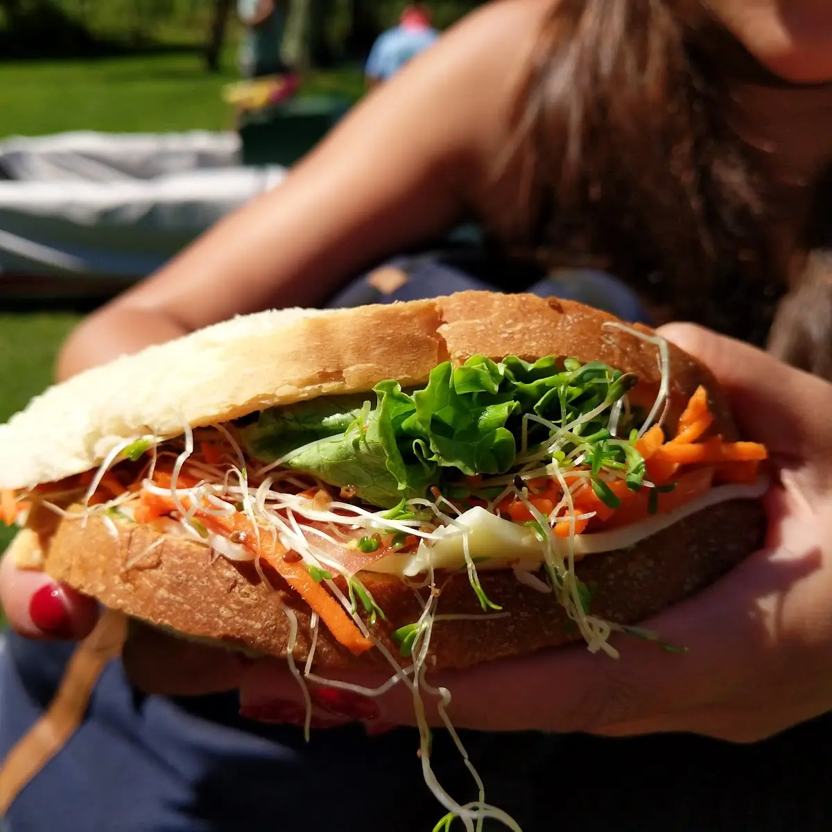 Veggie Sandwich