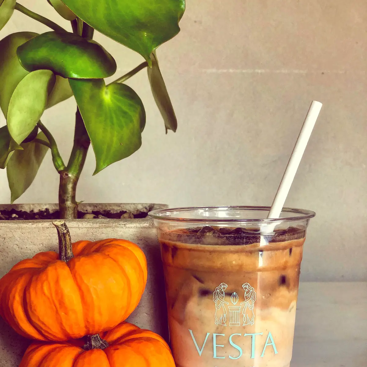 Pumpkin Spice Latte - 8 Oz