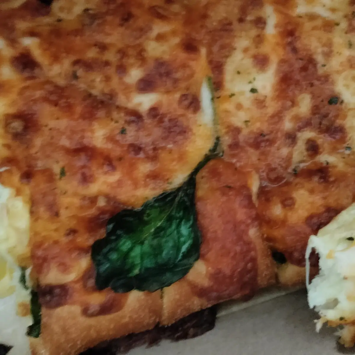 Spinach and Cheese Sticks