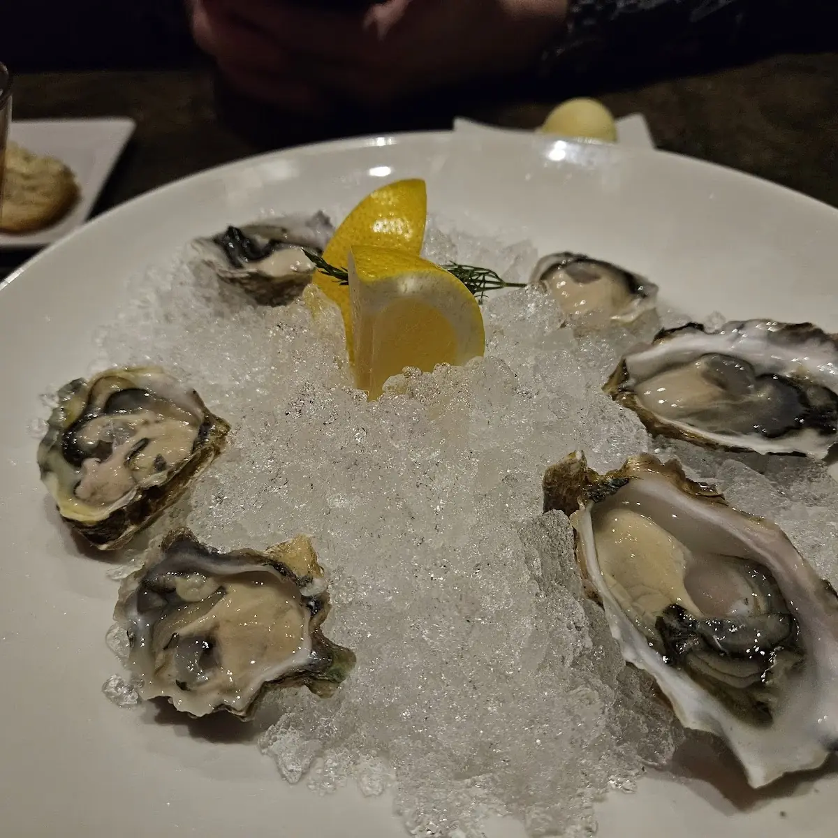 Fresh Oysters on Crushed Ice