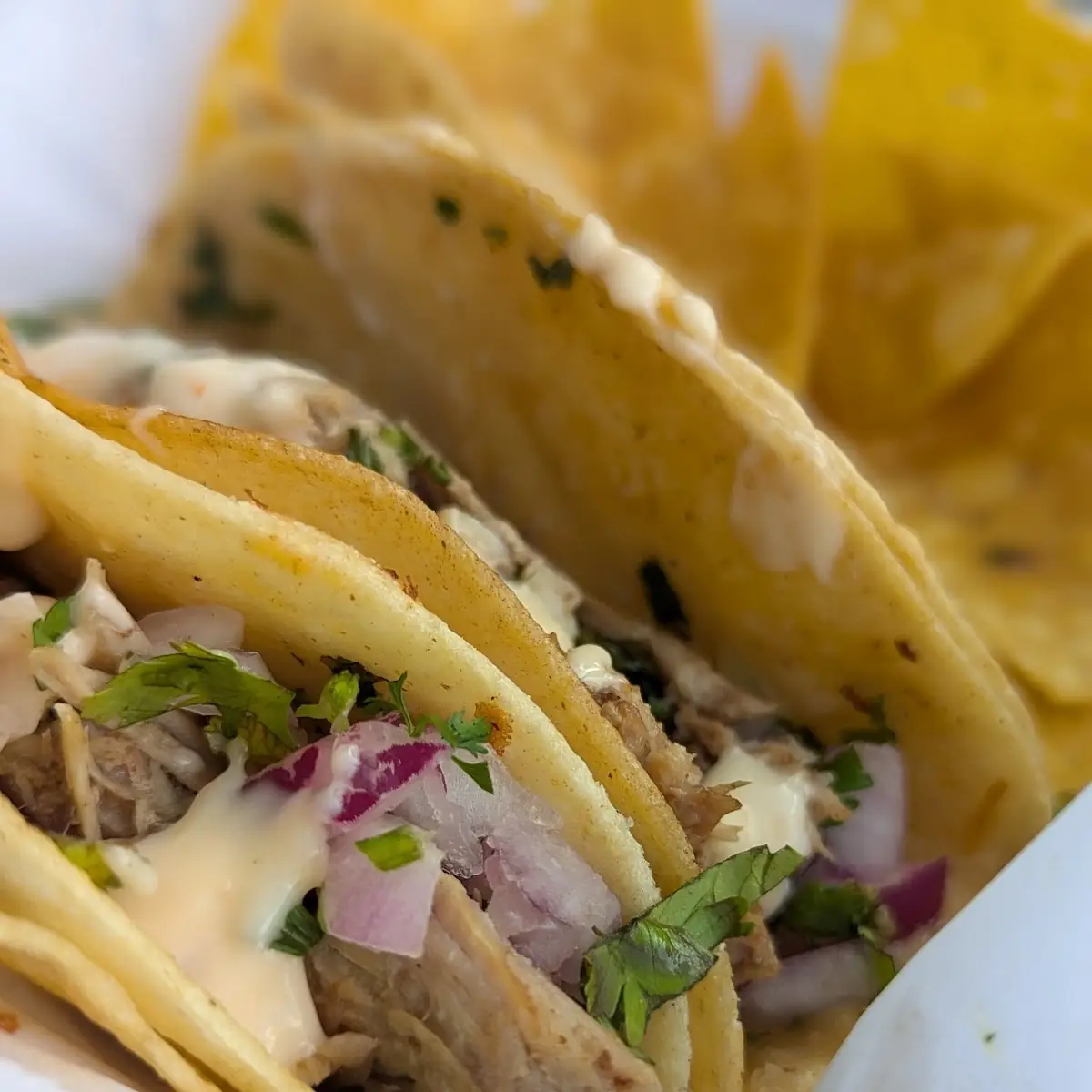 Carnitas Tacos Pork