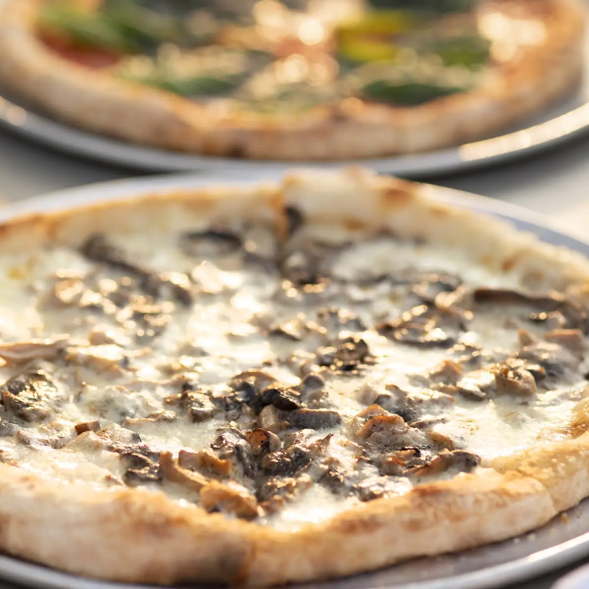 Wild Mushroom Pizza