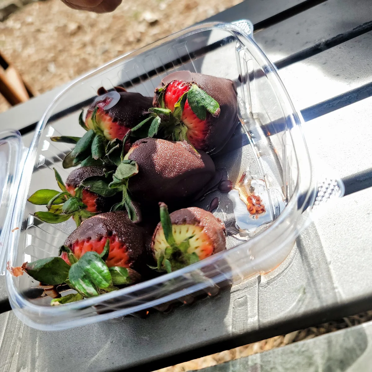 Chocolate Covered Strawberries