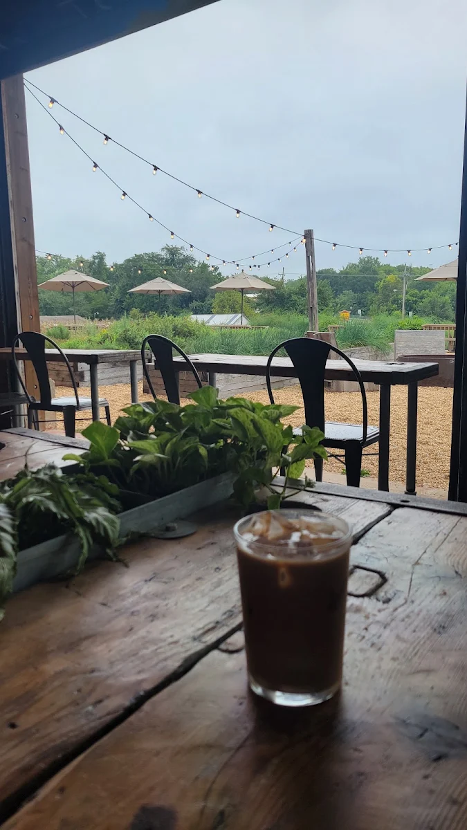 Cold Brew