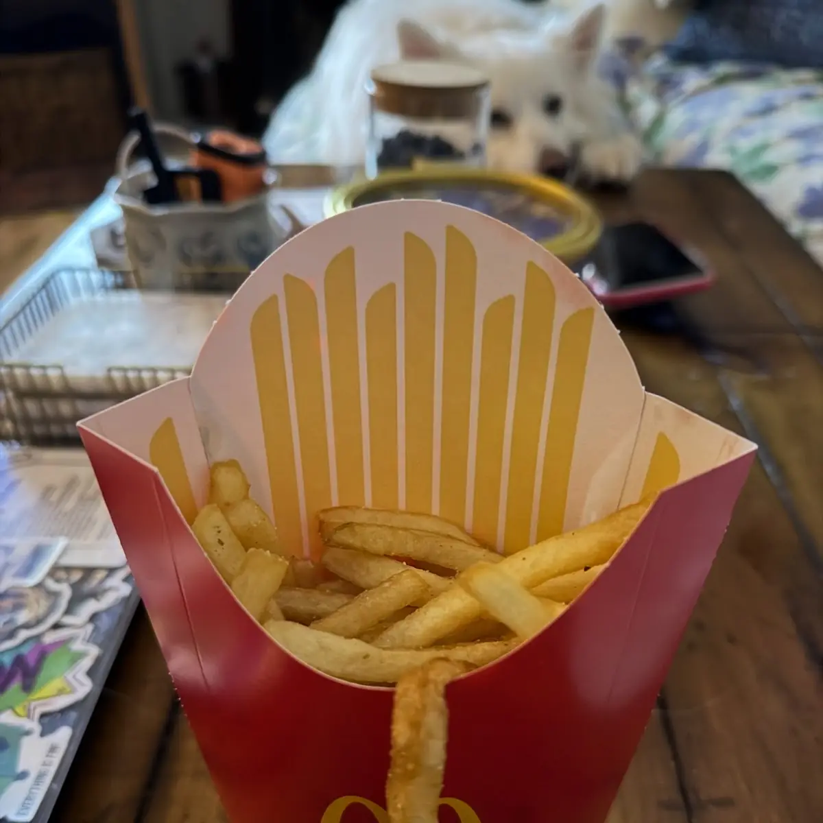 Medium French Fries