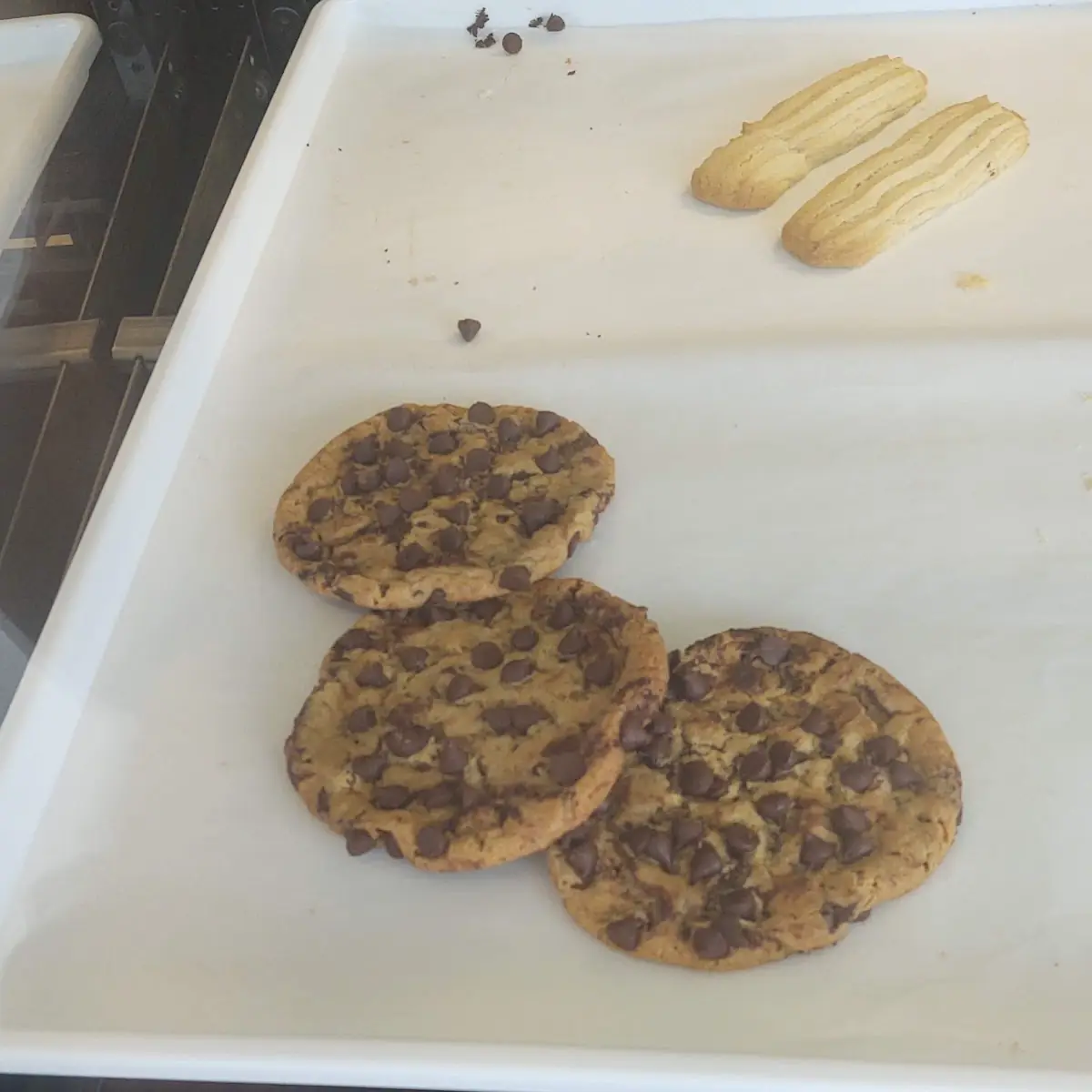 Chocolate Chip Cookie