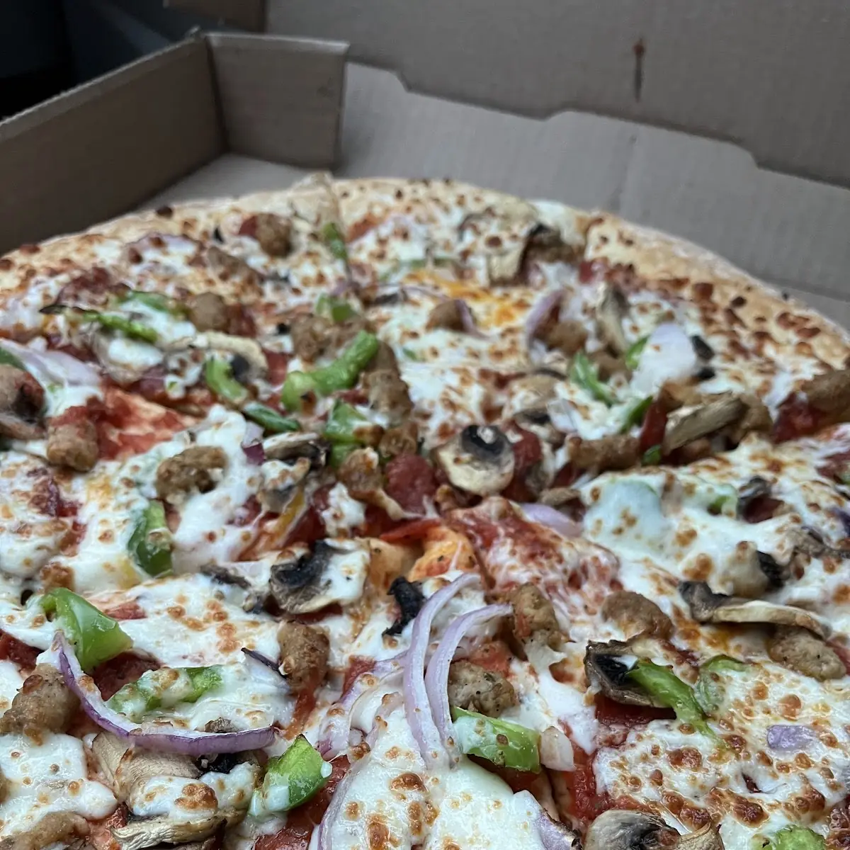 The Everything Pizza