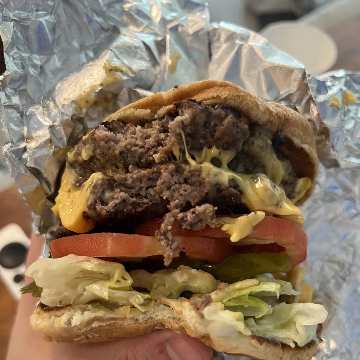 Double Cheeseburger