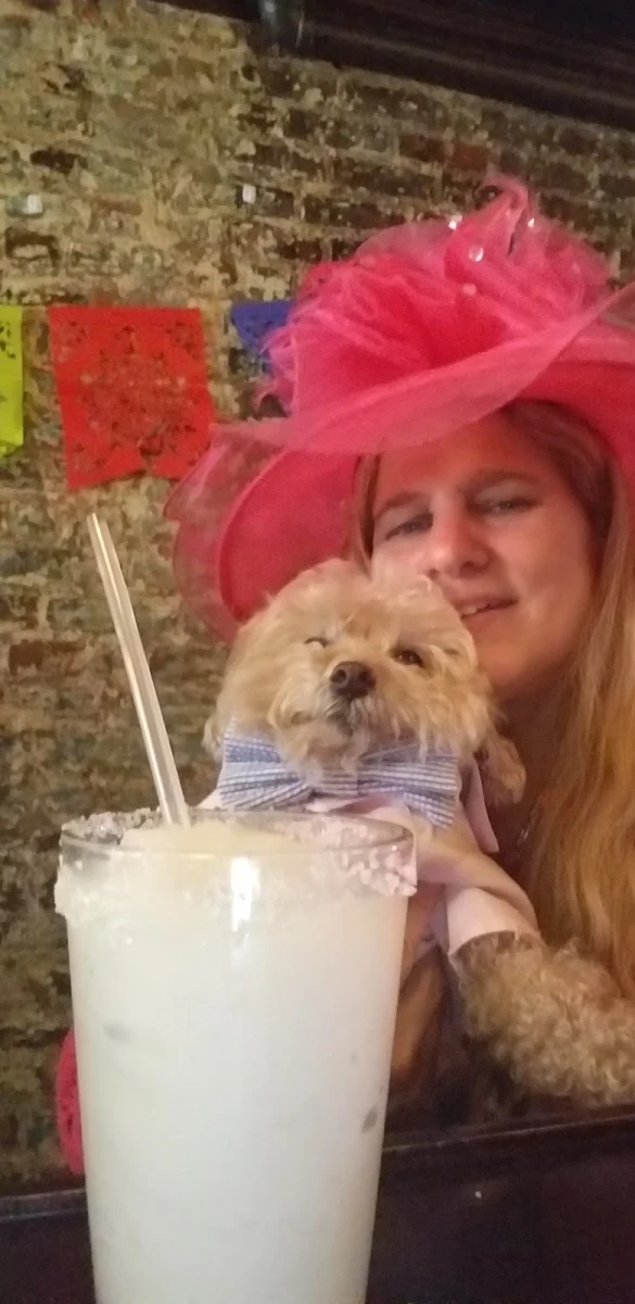 Frozen Margarita
