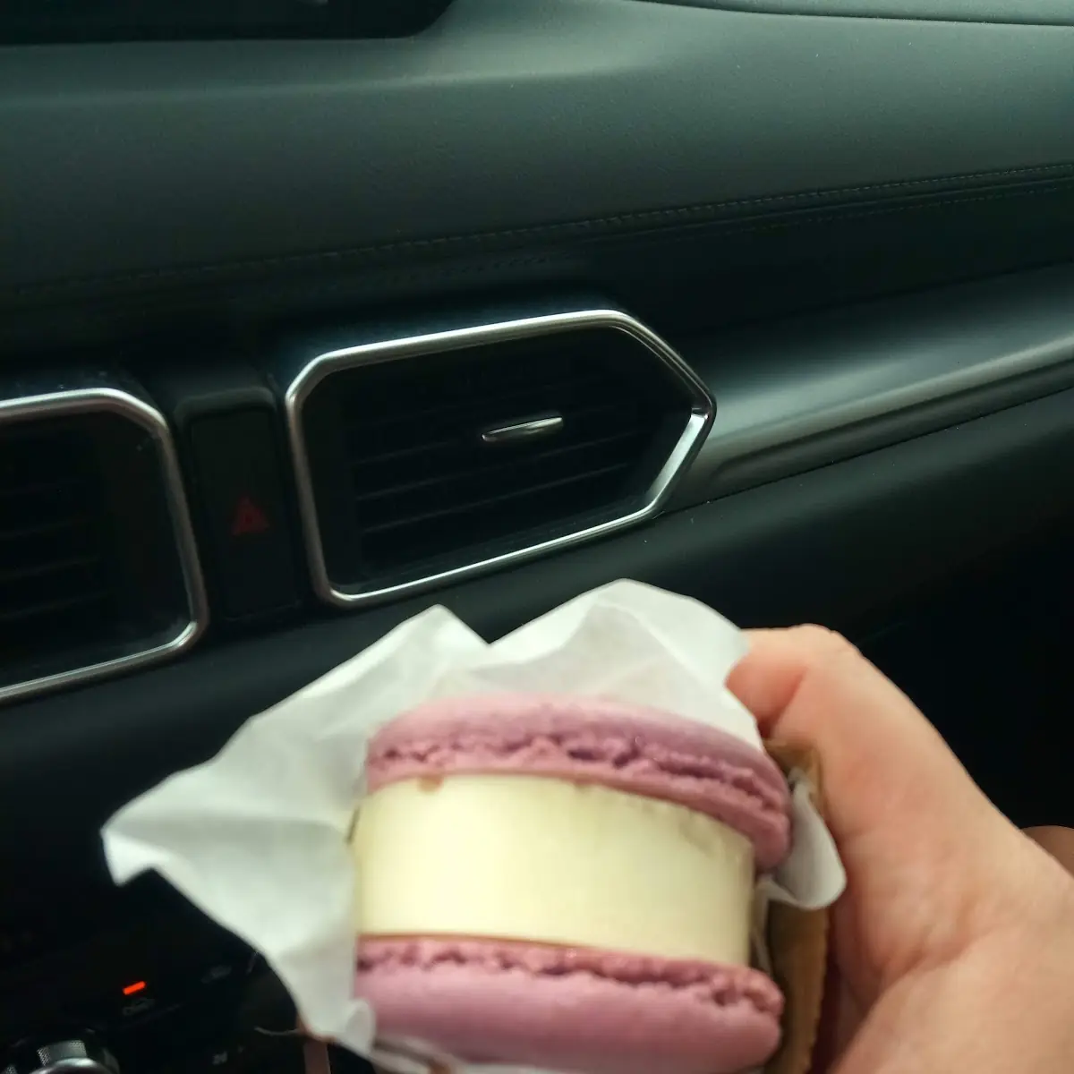 Ice Cream Sandwich