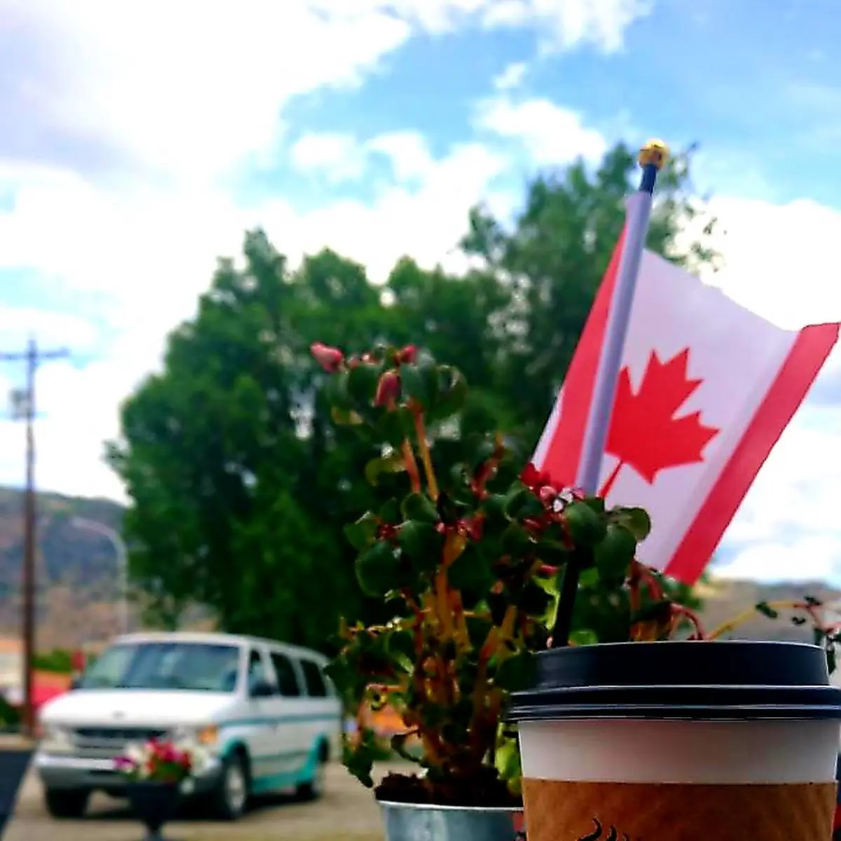 OH Canada, Junction 3 Coffee House