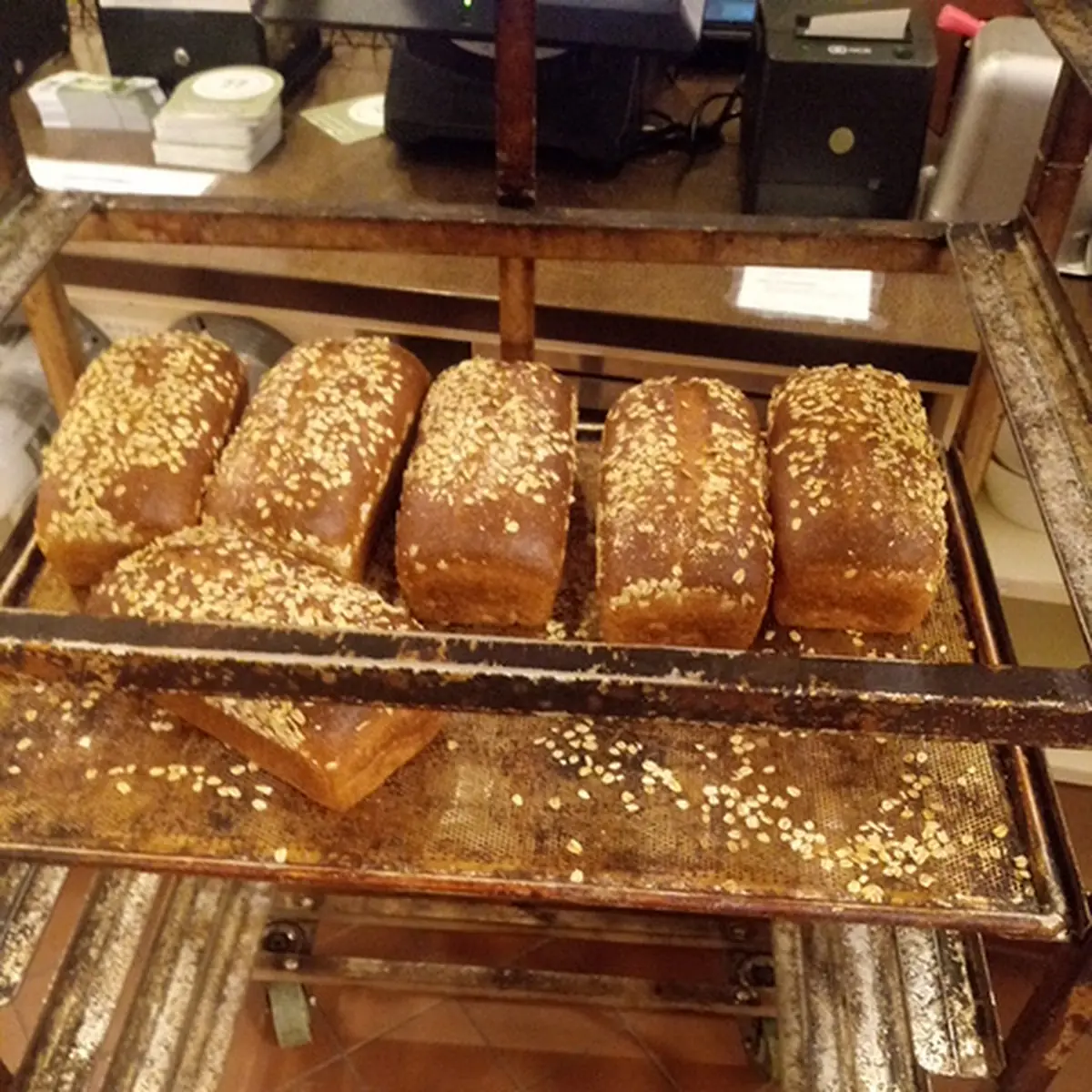 Whole Grain Loaf Bread