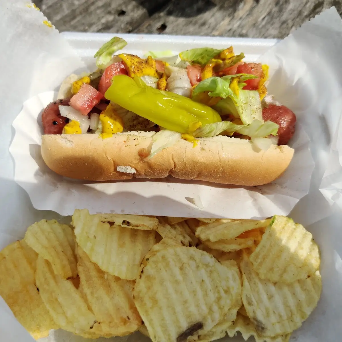 Chicago Dog
