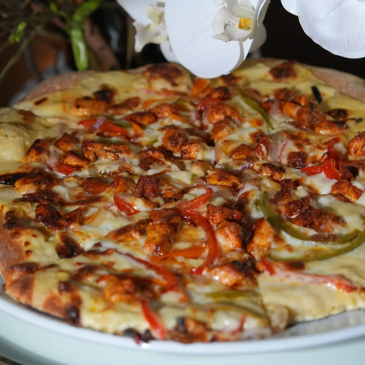 Teriyaki Chicken Pizza