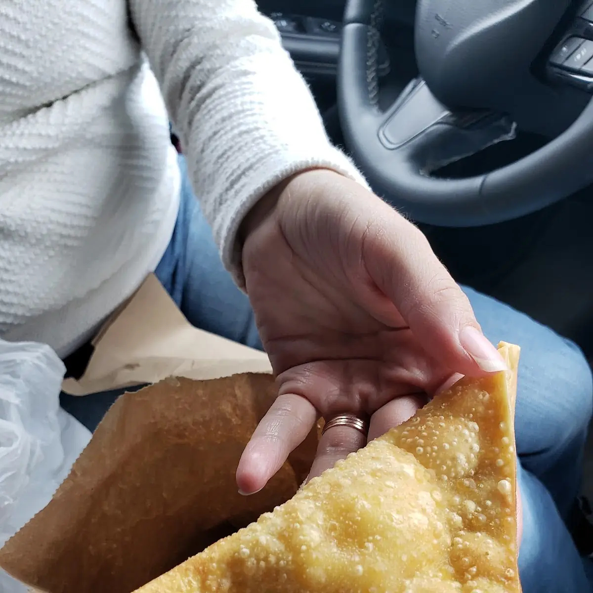 Crab Rangoon 100 Crab 5 PC
