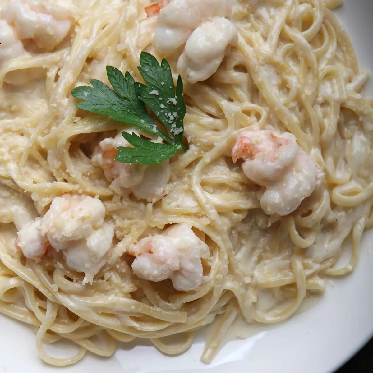Alfredo Pasta with Shrimps