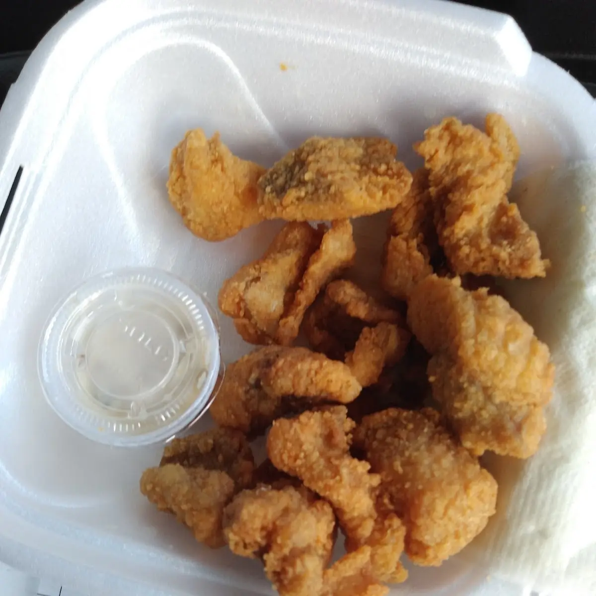 Catfish Nuggets