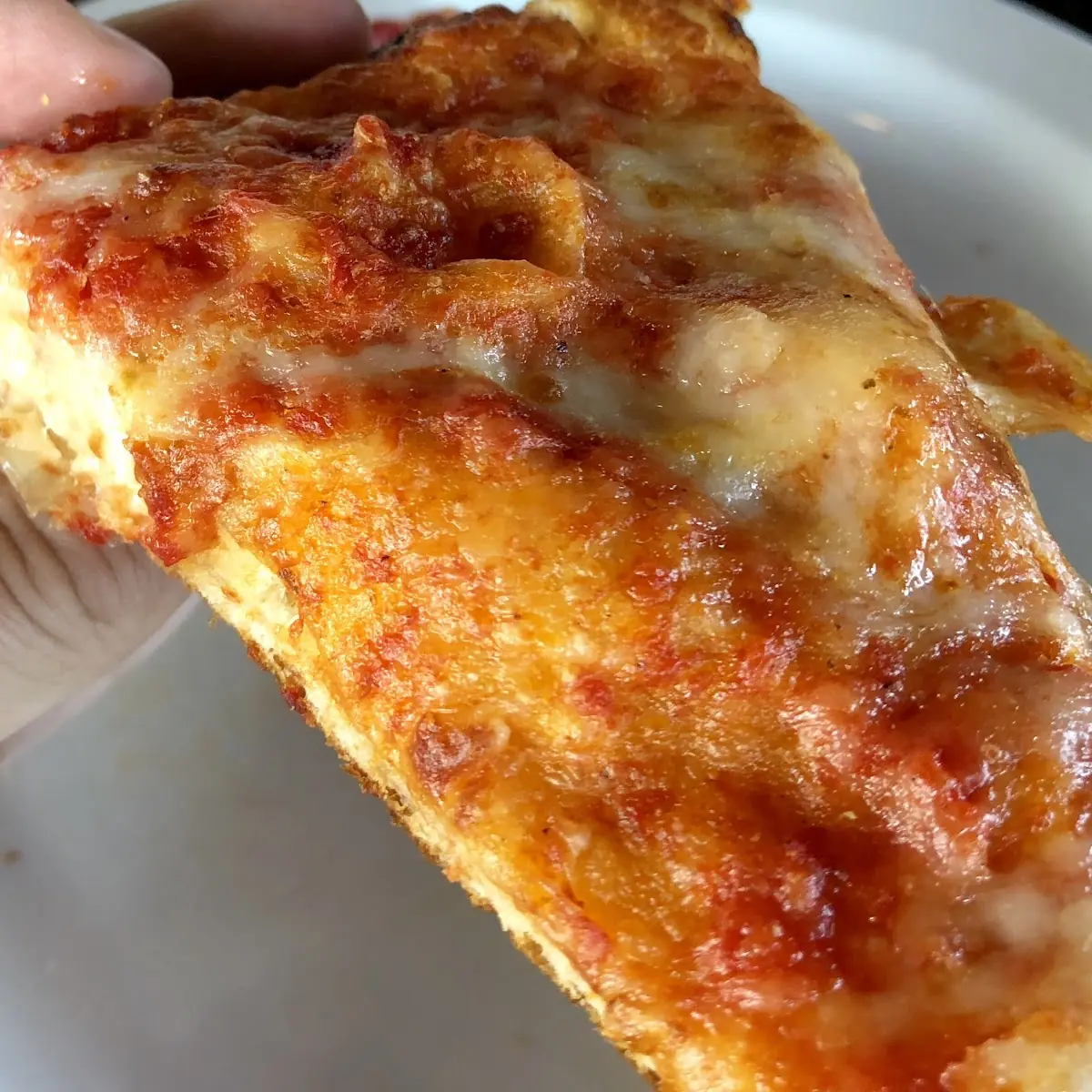 Sourdough Pizza