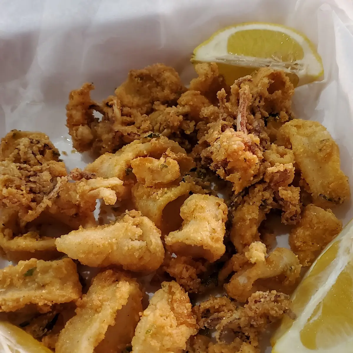 Fried Calamari