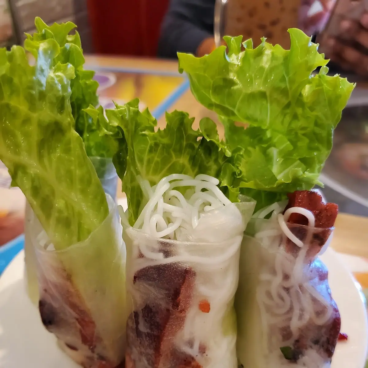 BBQ Pork Spring Rolls