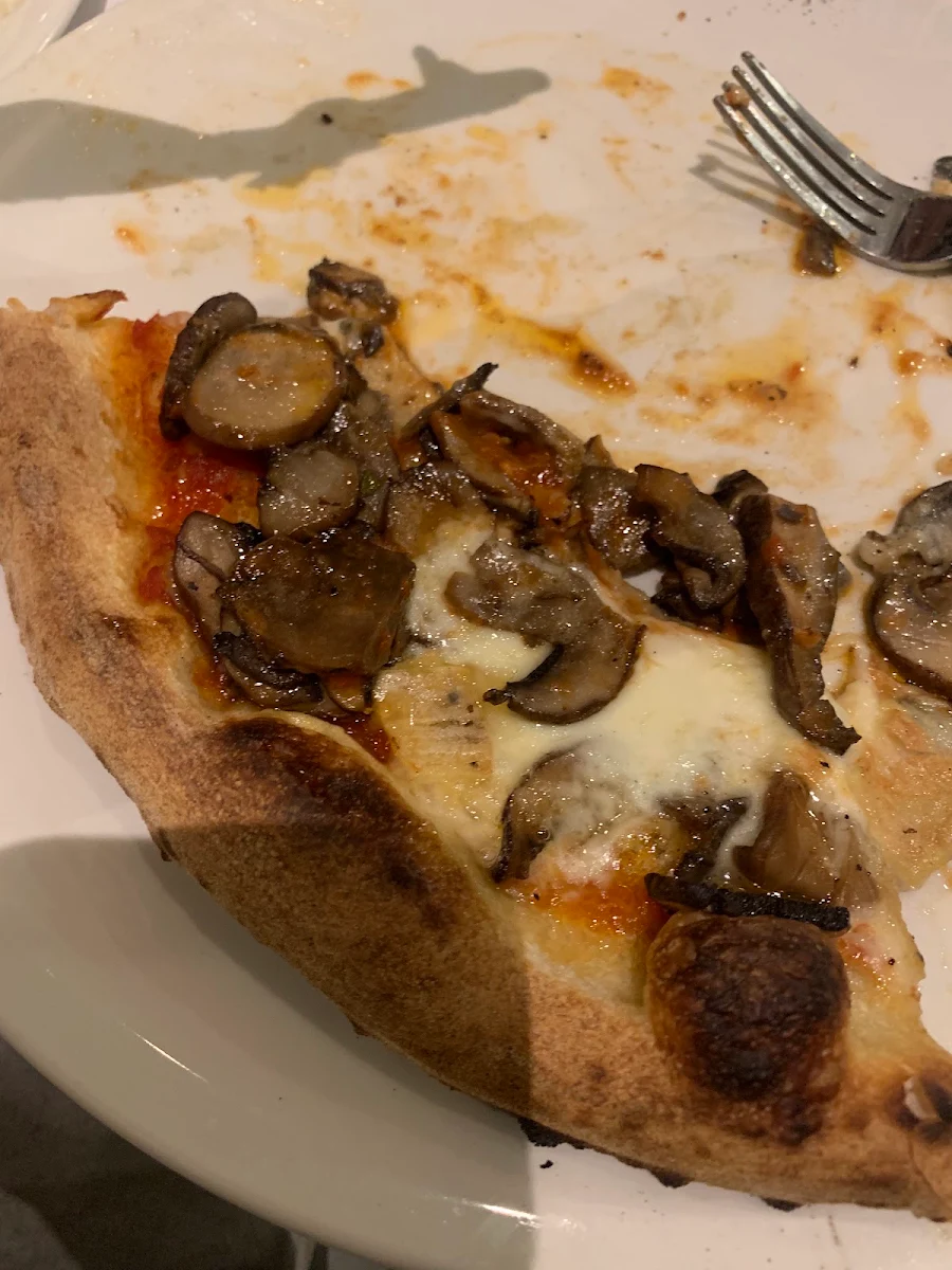 Mushroom Pizza