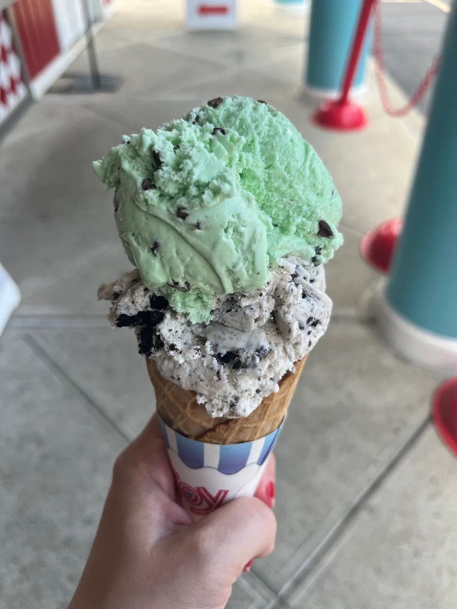 Chocolate Chip