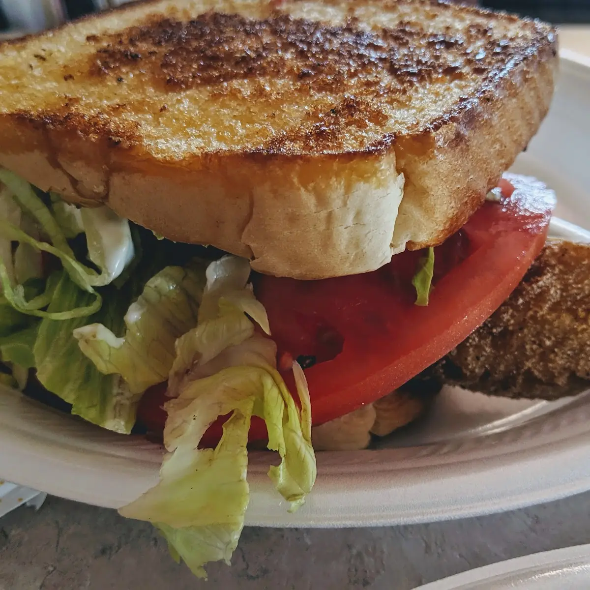 Fishing Fish Sandwich