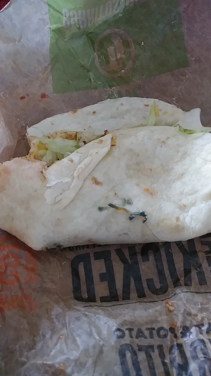 Soft Taco with Moldy Cheese