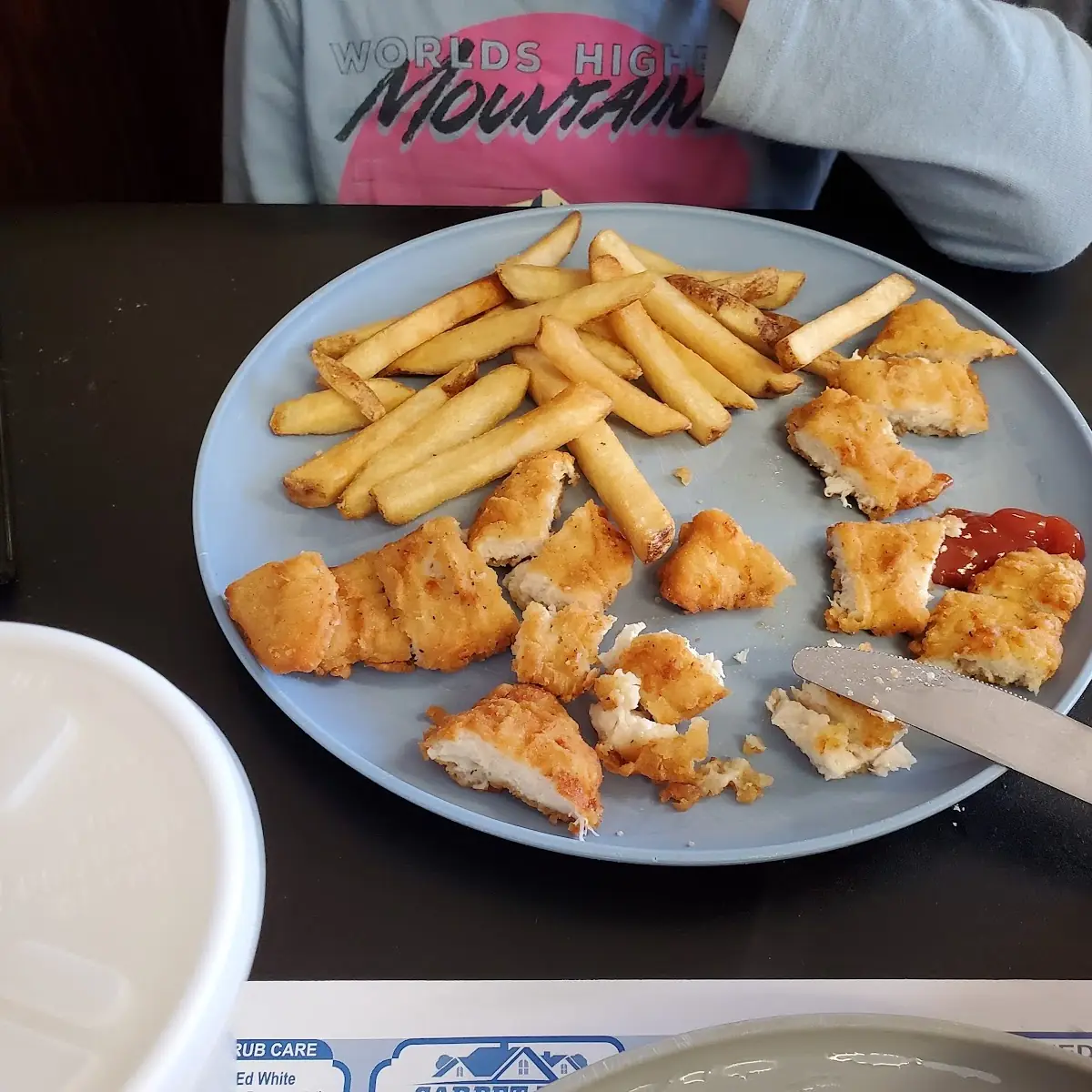 Chicken Tenders with Fries