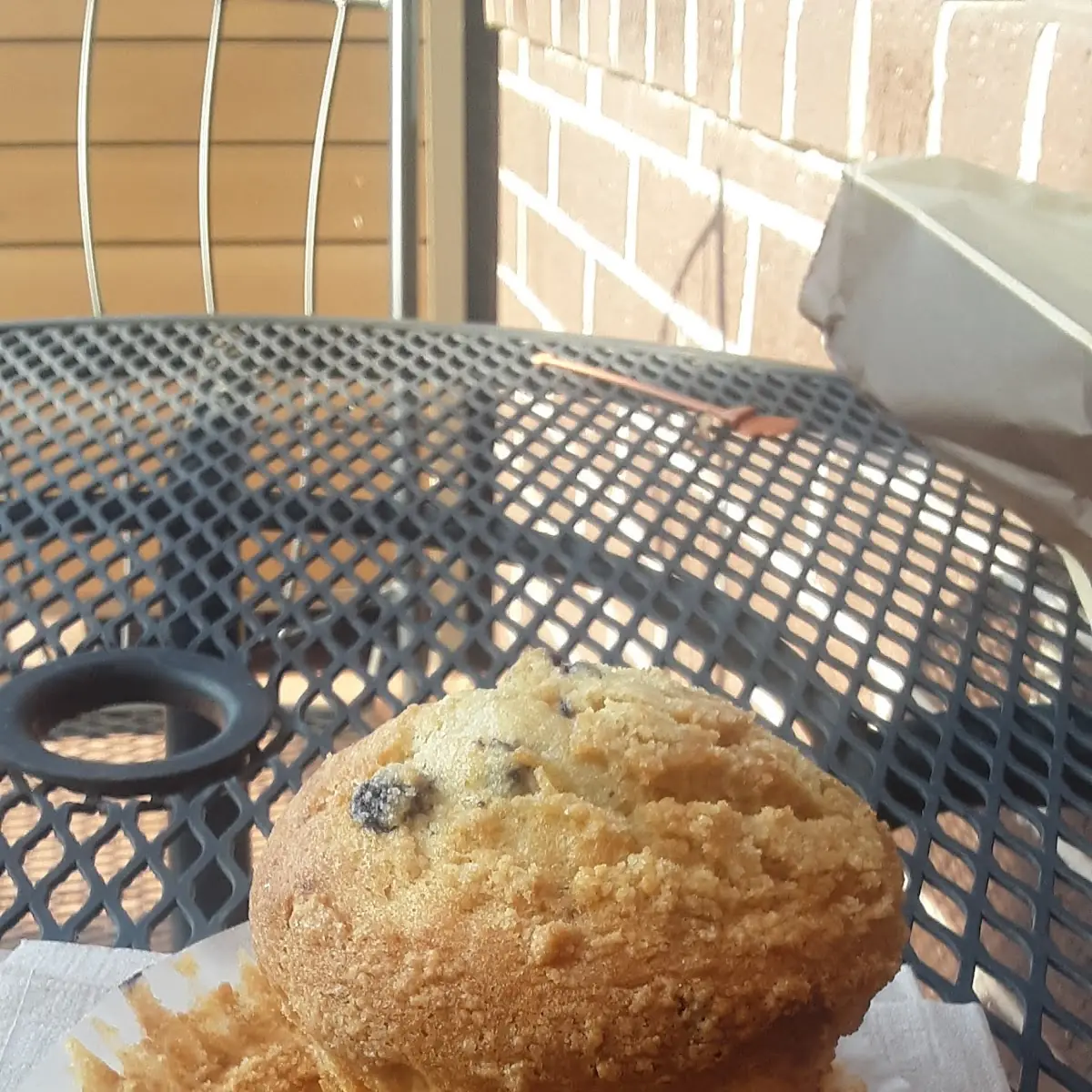 Blueberry Muffin