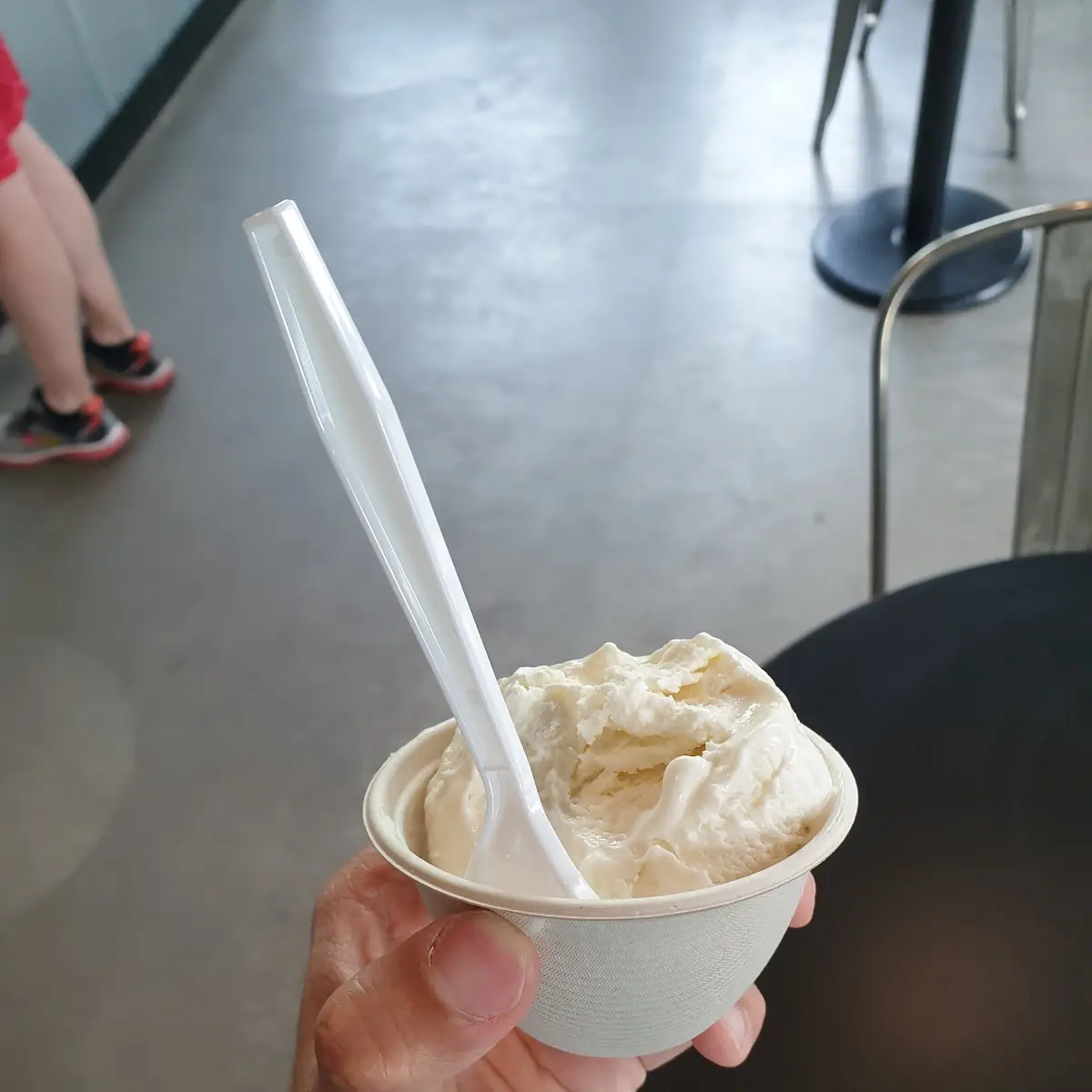 Keto Vanilla Ice Cream