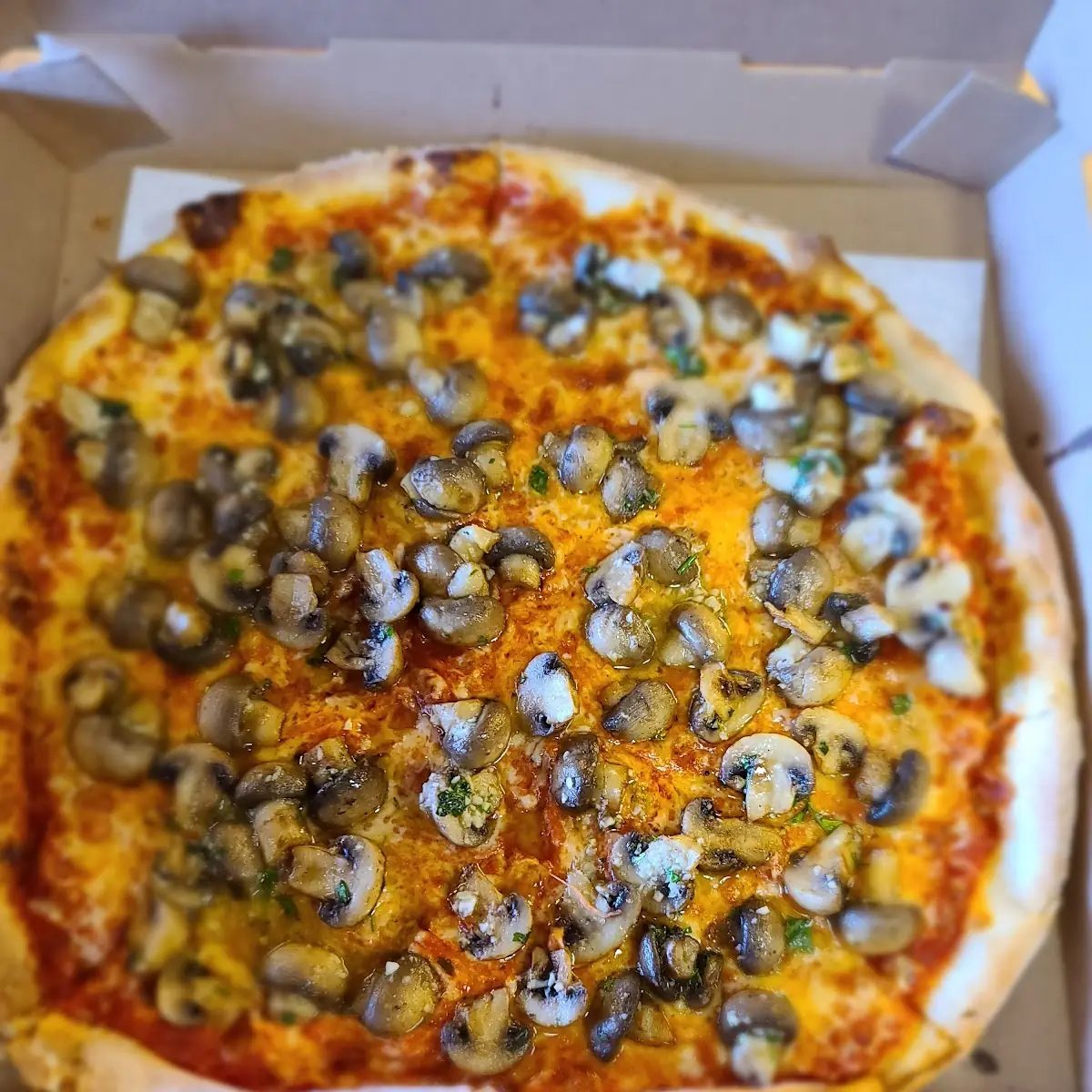 Mushroom Pizza