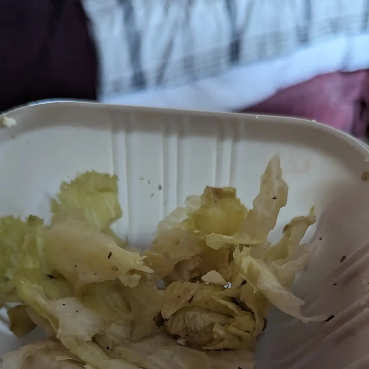 Supposed to Be Salad, Wing House