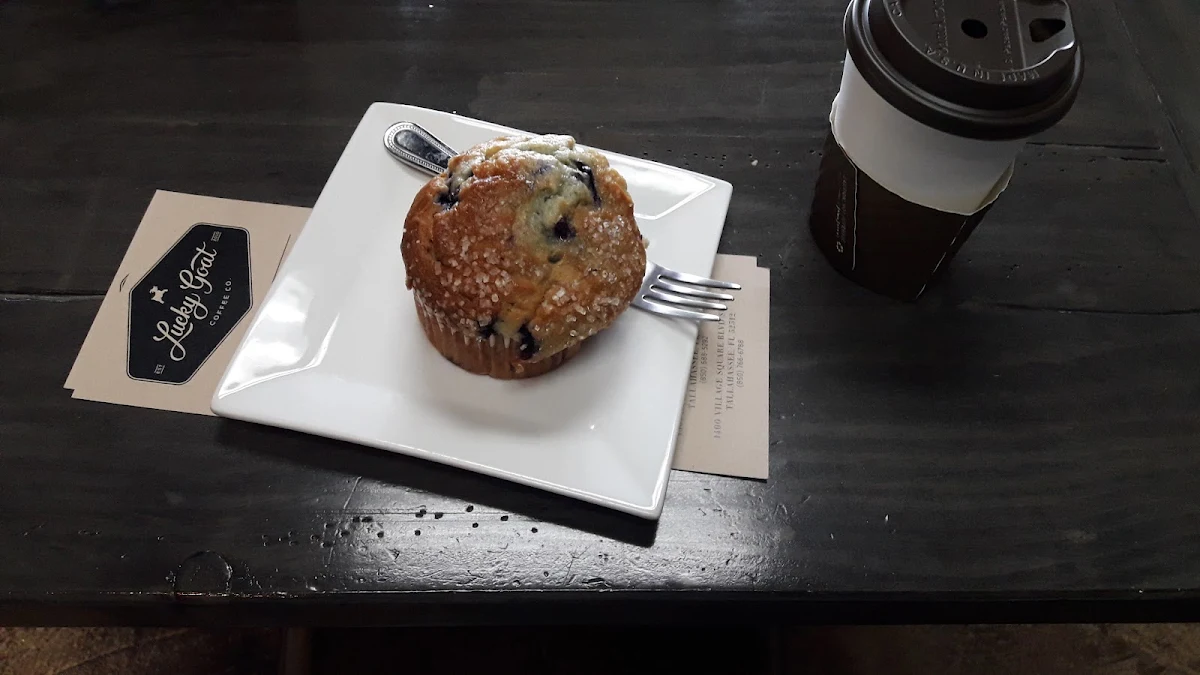 Blueberry Muffin