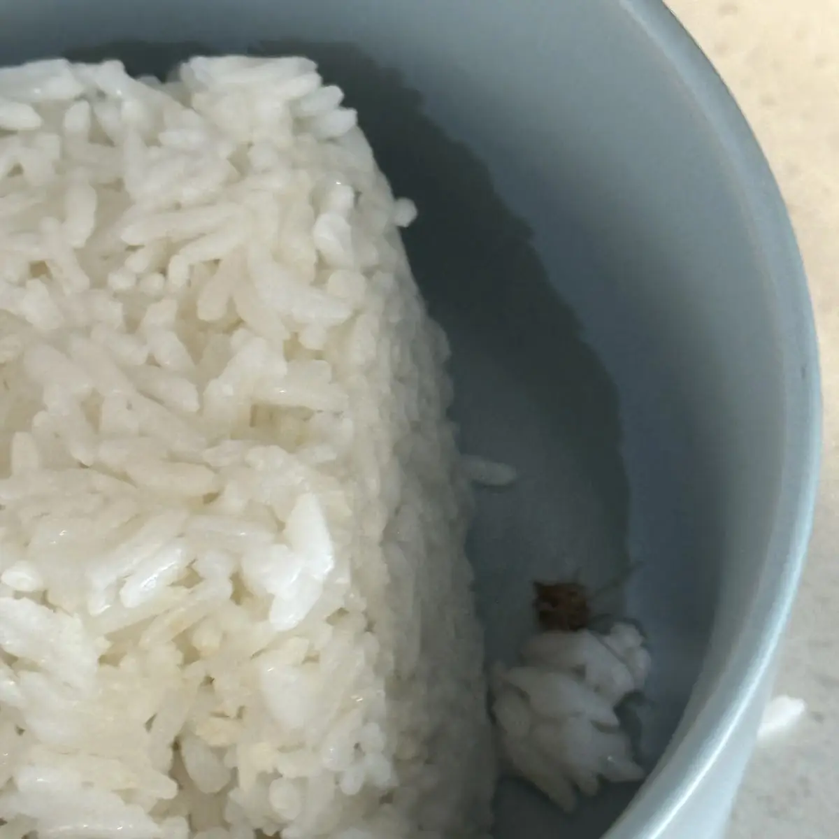 White Rice