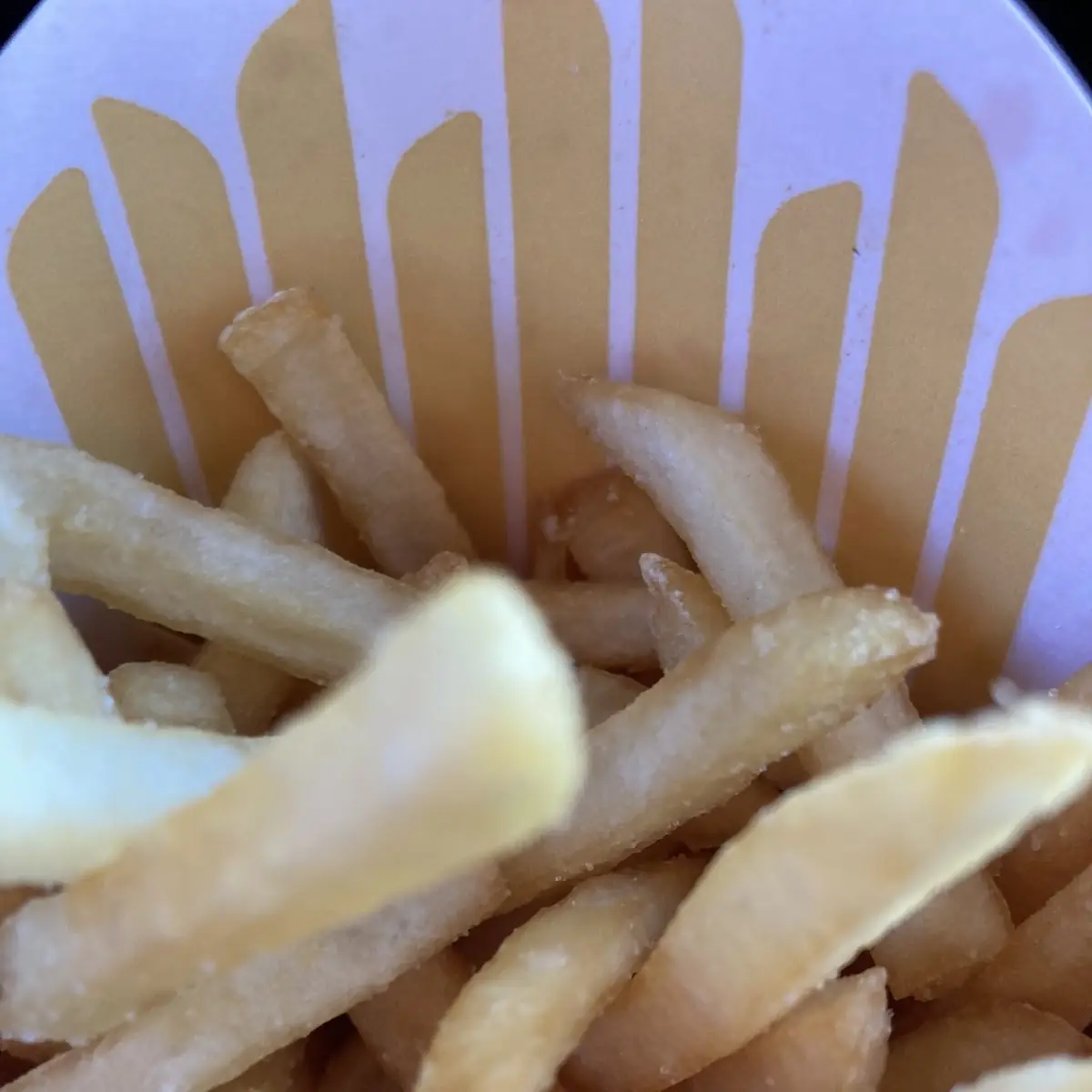 World Famous Fries