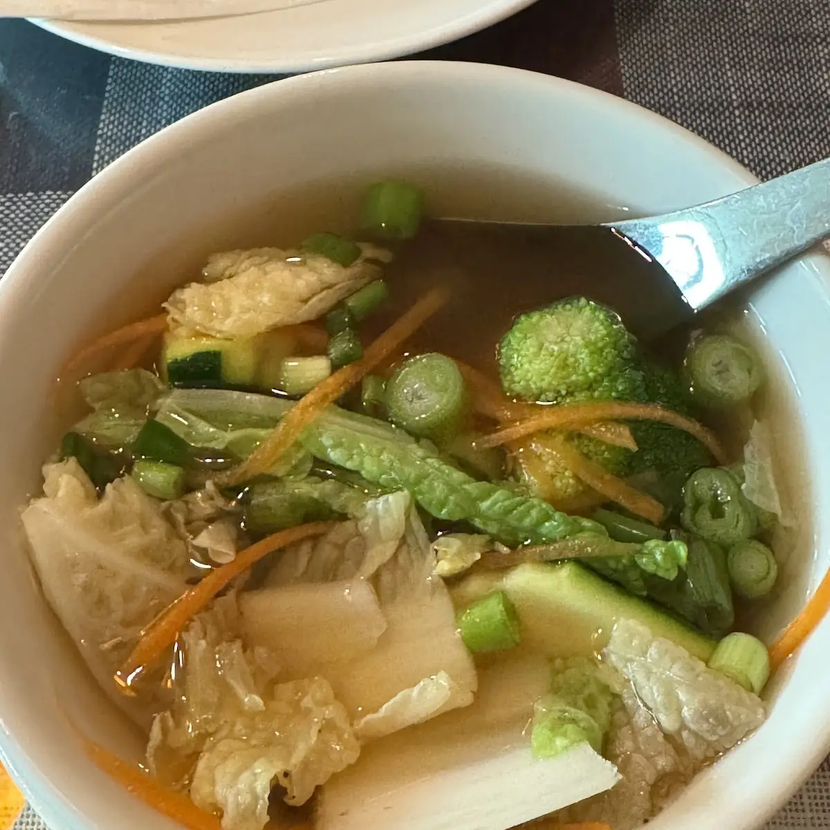 Vegetable Soup
