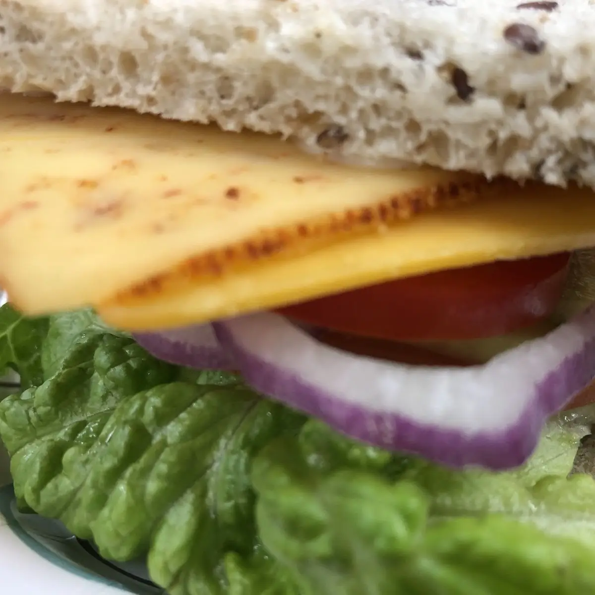 Veggie Sandwich
