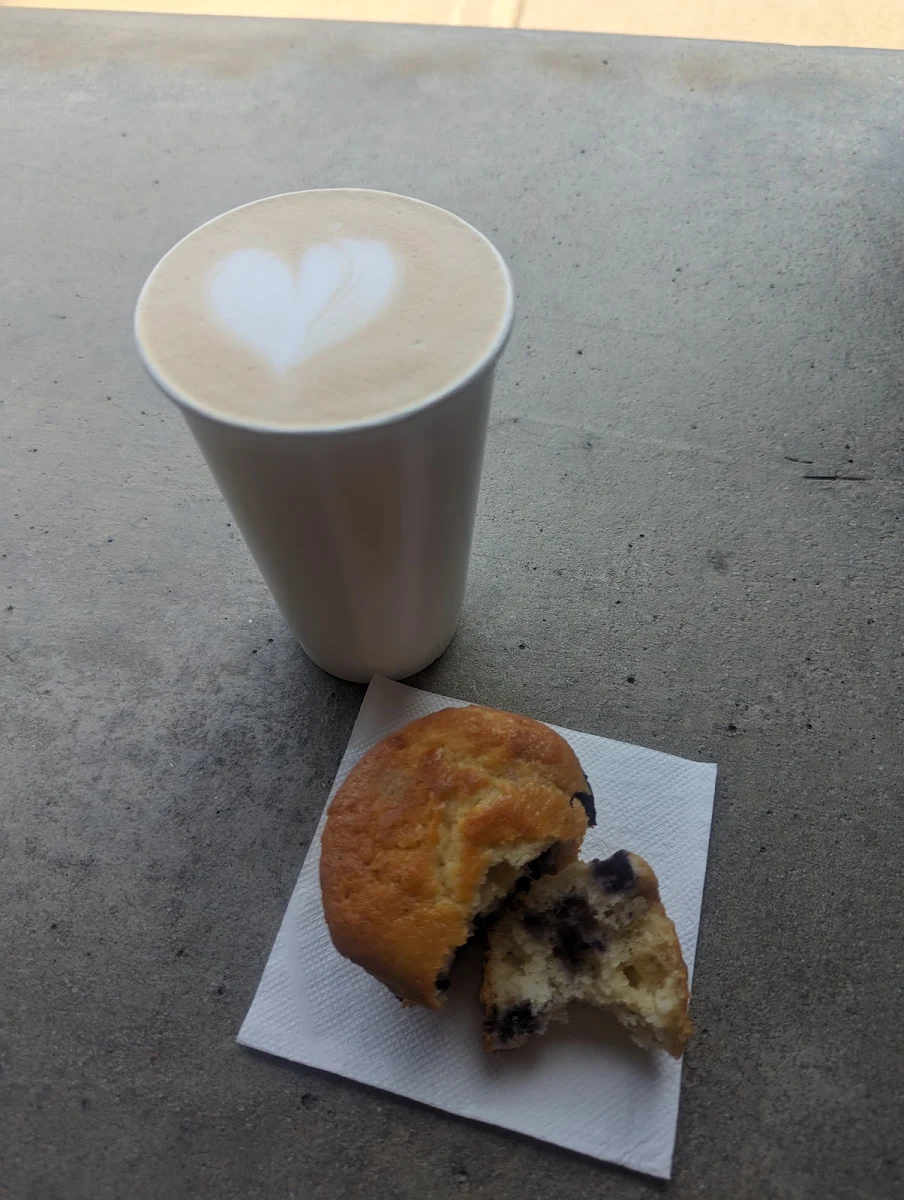 Blueberry Muffin