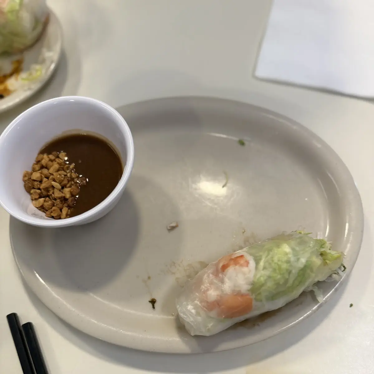 Fresh Spring Rolls 2