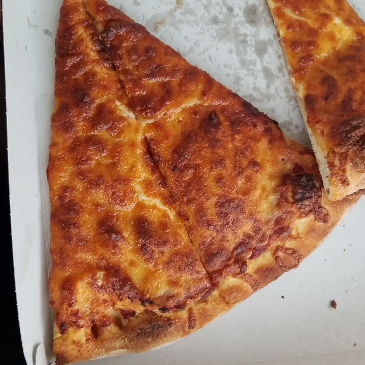 Burnt Dry Cheese Pizza Reheated